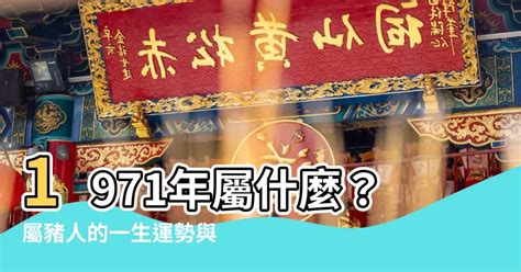 辛亥豬年 1971|1971年屬什麼生肖？1971年出生人的命運？釵釧金。